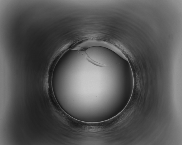 X0000097840486200803201521