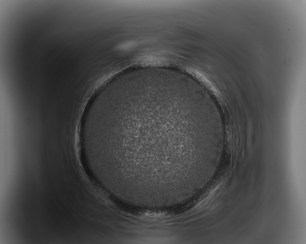 X0000097840487200803201521