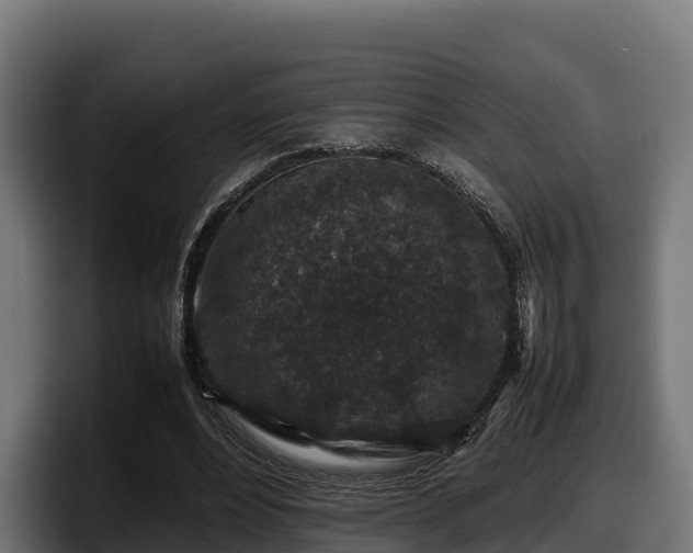 X0000097840488200803201521