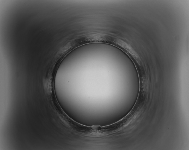X0000097840489200803201521