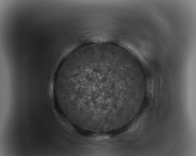 X0000097840491200803201521