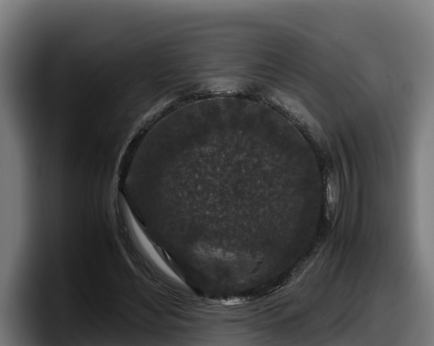 X0000097840492200803201521