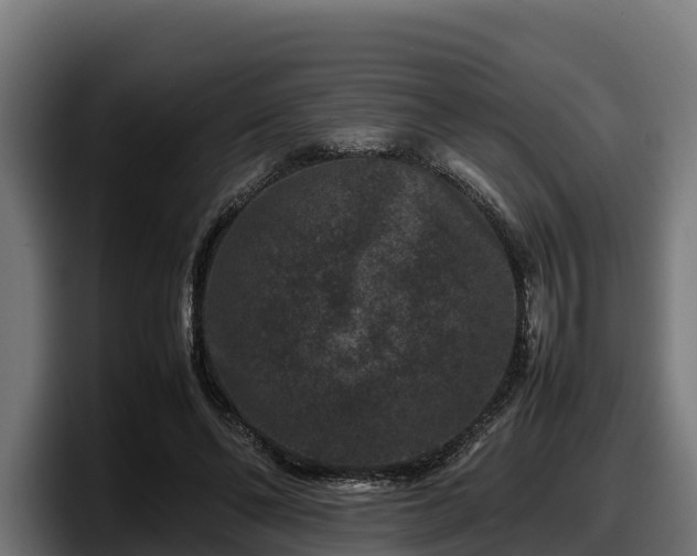 X0000097840494200803201521
