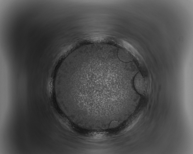 X0000097840495200803201521