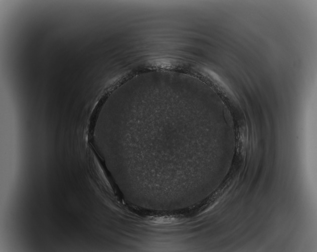 X0000097840500200803201521