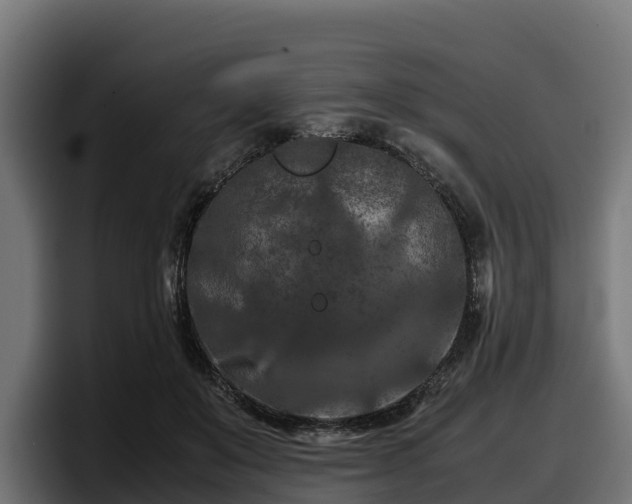 X0000097840503200803201521