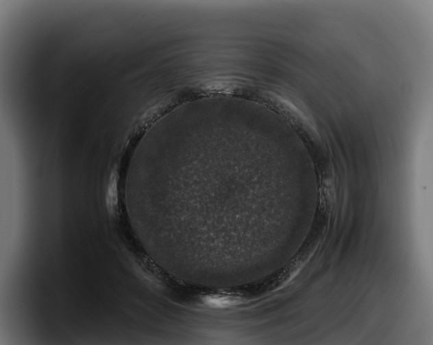 X0000097840504200803201521