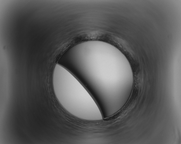 X0000097840505200803201521