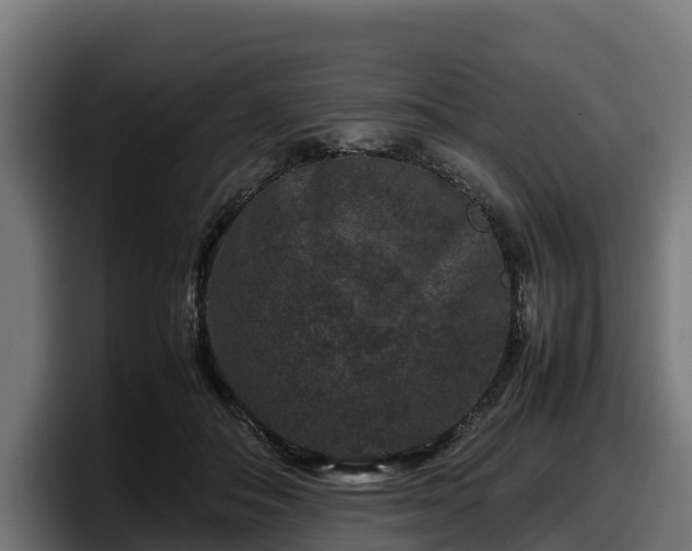 X0000097840506200803201521