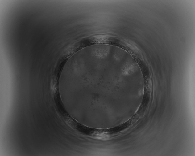 X0000097840507200803201520