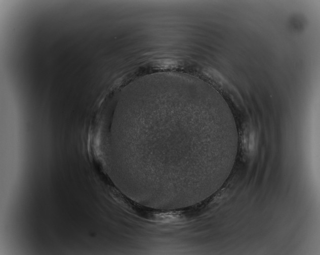 X0000097840516200803201520