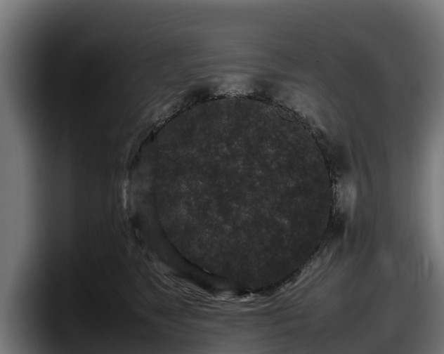 X0000097840517200803201520