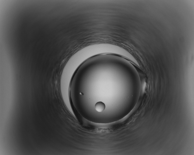 X0000097840520200803201520