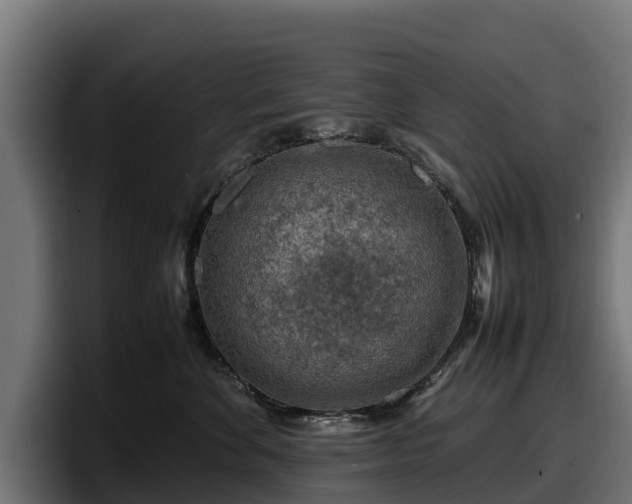 X0000097840524200803201520