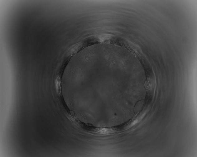 X0000097840527200803201520