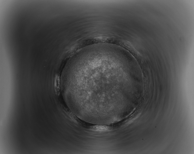 X0000097840528200803201520