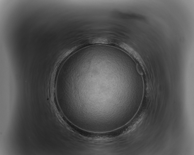 X0000097840529200803201520