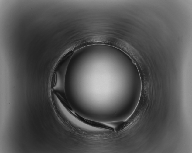 X0000097840530200803201520