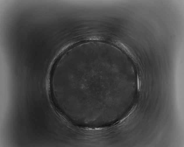 X0000097840531200803201520