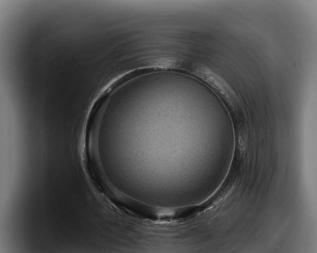 X0000097840532200803201520