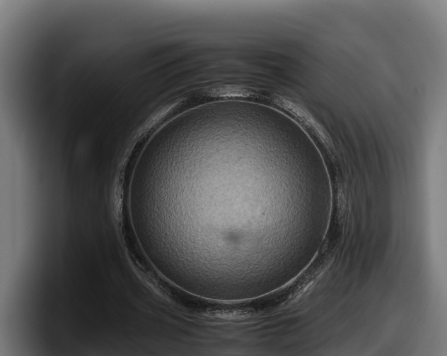 X0000097840533200803201520