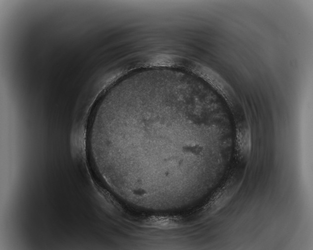 X0000097840534200803201520