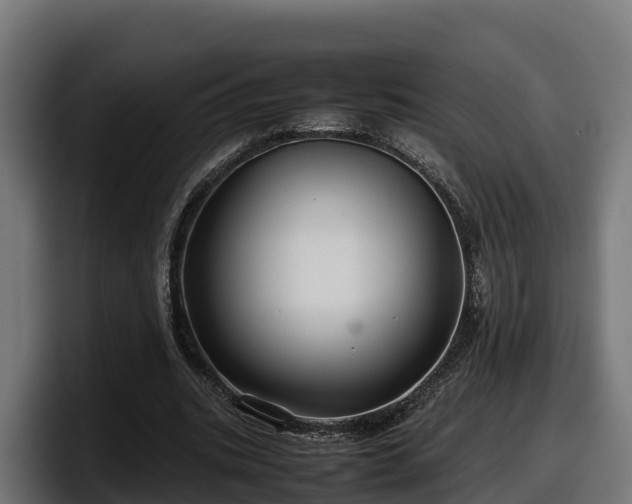 X0000097840535200803201520