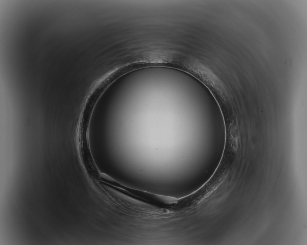 X0000097840536200803201520