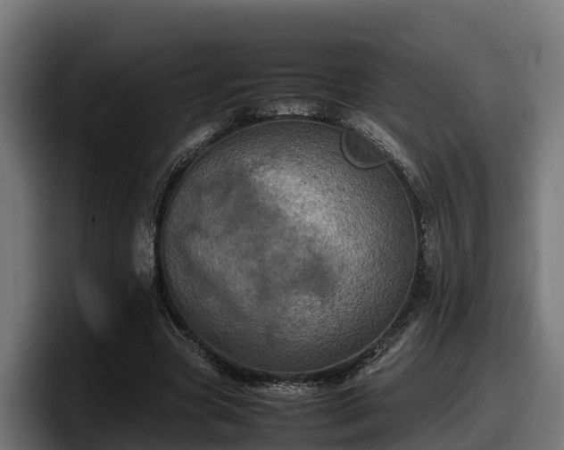 X0000097840537200803201520