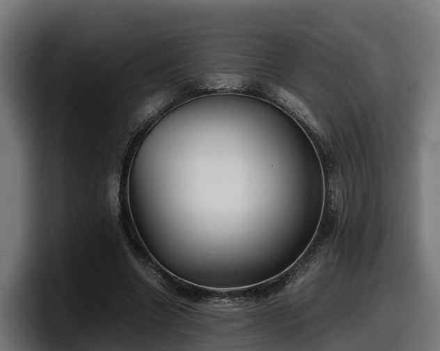 X0000097840538200803201520