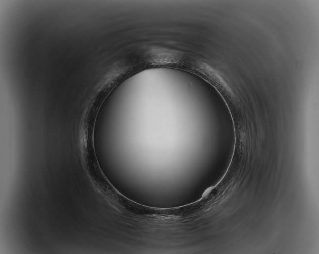 X0000097840539200803201520