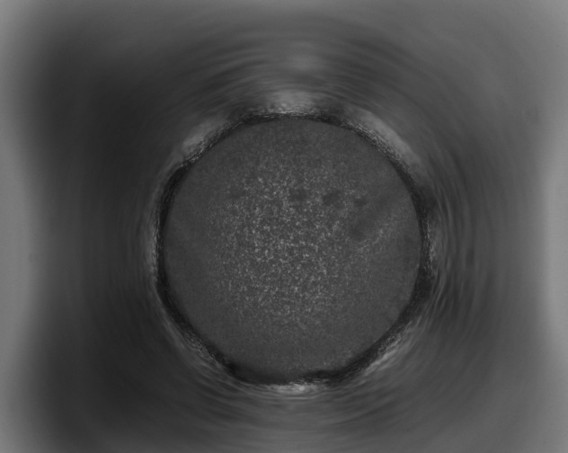 X0000097840542200803201520
