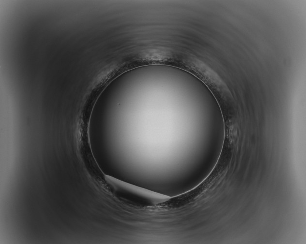 X0000097840544200803201520