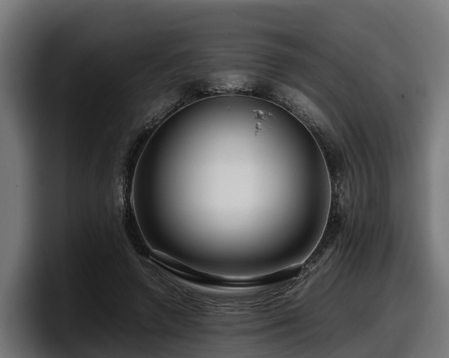 X0000097840546200803201520