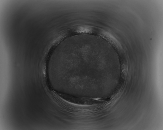 X0000097840547200803201520