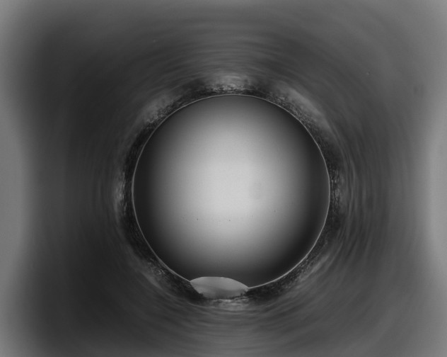 X0000097840548200803201520