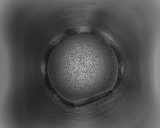 X0000097840550200803201520