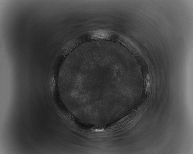 X0000097840551200803201520