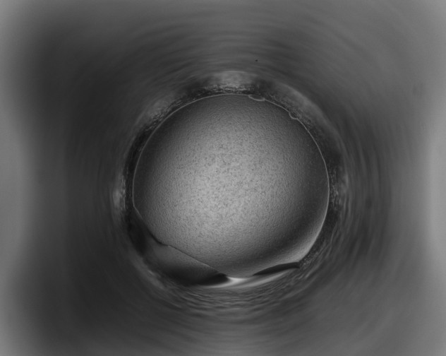 X0000097840552200803201520