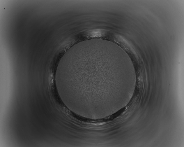 X0000097840555200803201520