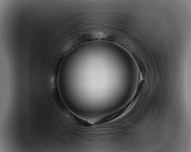 X0000097840556200803201520