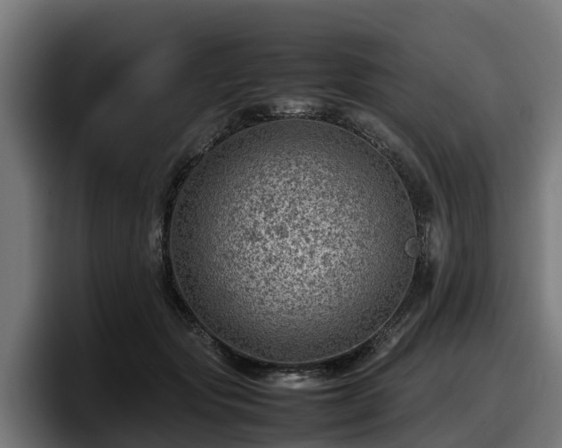 X0000097840557200803201520