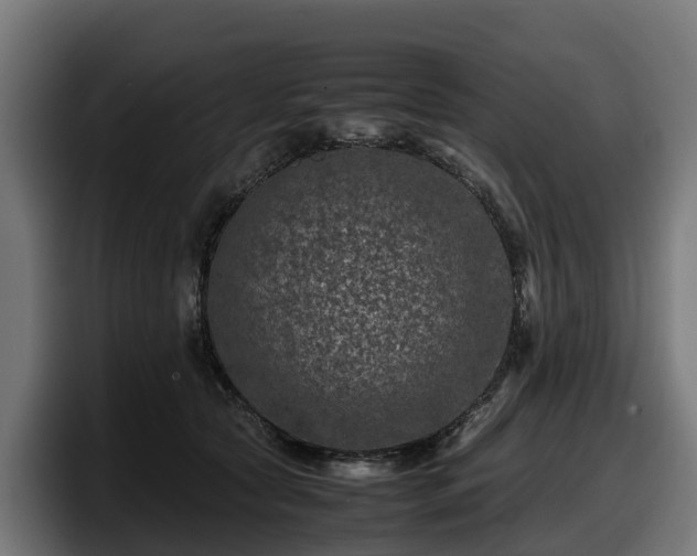 X0000097840561200803201520