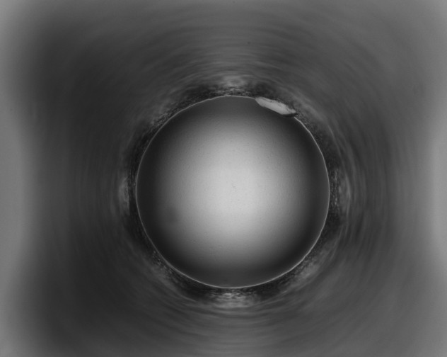 X0000097840562200803201520