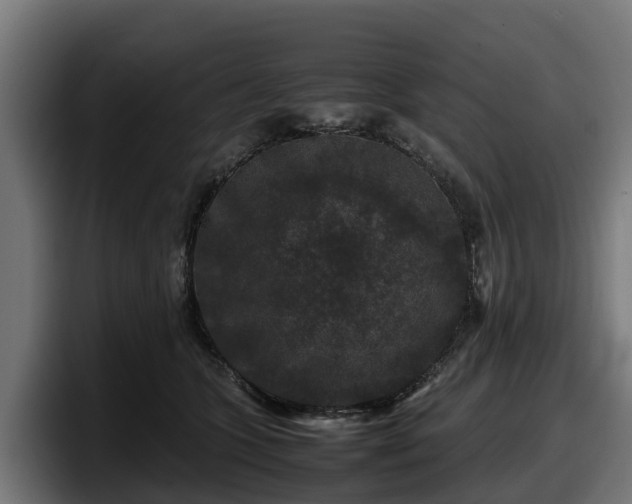 X0000097840563200803201520
