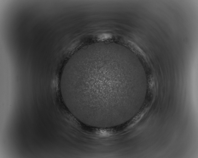 X0000097840565200803201520