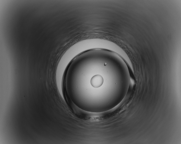 X0000097840566200803201520