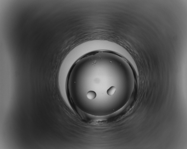 X0000097840568200803201520
