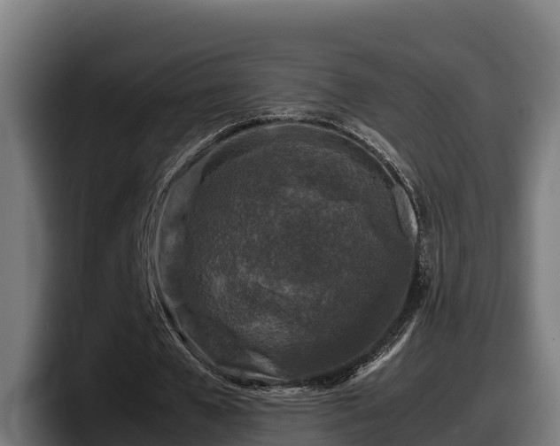 X0000097840577200803201520