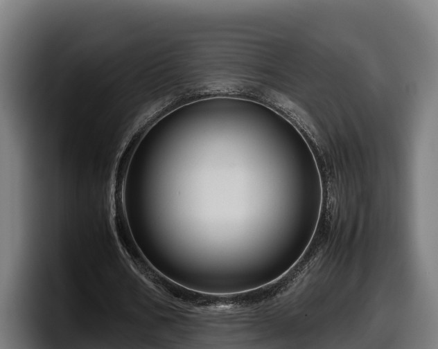 X0000097840578200803201520